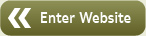 Enter Website